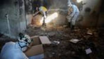 Syrien : Weißhelme werden in neue syrische Regierung eingegliedert