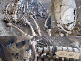 archäologie: das massaker, das keines war