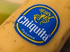 streik der erntehelfer: us-bananenkonzern chiquita entlässt alle mitarbeiter in panama