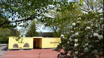 schimmel-alarm an grundschule in wedel: 150 schüler betroffen