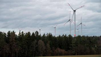 windkraft im wald – verbände warnen vor zerstörung
