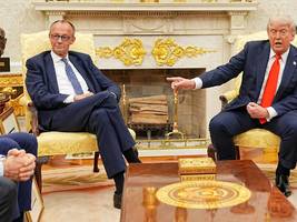 Friedrich Merz im Weißen Haus: Diesen Deutschen mag Trump