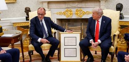 Friedrich Merz: Fünf Erkenntnisse aus dem Treffen mit Donald Trump