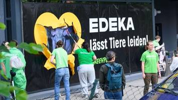 protestaktion: greenpeace wirft edeka tierleid vor