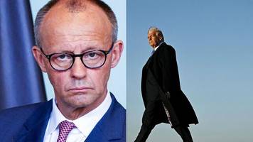 Merz im Weißen Haus: So heikel wird das Treffen von Friedrich Merz mit Donald Trump