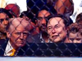 Musk gegen Trump: Die Seifenoper kann schnell zum Horrorstreifen werden
