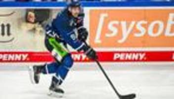 eishockey: straubing tigers verlängern mit drei eishockey-profis