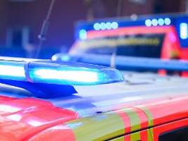 mit pferd und hund unterwegs: frau im sauerland vom blitz erschlagen