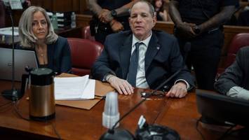 harvey weinstein beteuert unschuld – „unmoralisch gehandelt“