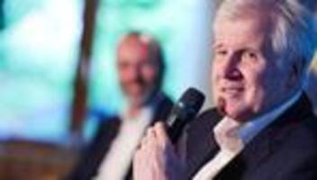 migrationspolitik: seehofer: afd ist auf schlagdistanz