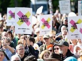 gemeinsames vorgehen: grüne schlagen neuen weg zu afd-verbotsverfahren vor