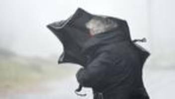 mecklenburg-vorpommern: verdacht auf tornado in greifswald - zahlreiche schäden
