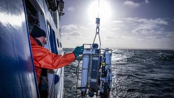 Nord- und Ostsee immer wärmer – sogar Badeverbote drohen