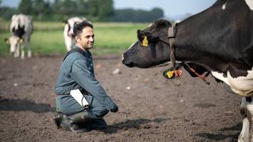 wegen fachkräftemangel: tierärzte aus dem ausland umworben