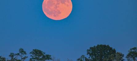 Besonderes Himmelsereignis: Wann der Erdbeermond in Bayern zu sehen ist