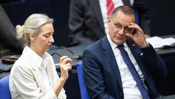 AfD verliert: Union kann in Umfrage Vorsprung ausbauen