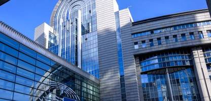 eu-parlament: fdp-abgeordneter fühlt sich von polnischem pis-kollegen bedrängt