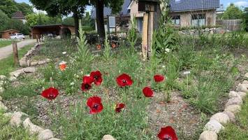 aktion offener garten: wo es auch kunstwerke zu bewundern gibt