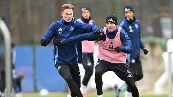 hsv-talent luis seifert wechselt zur sv elversberg