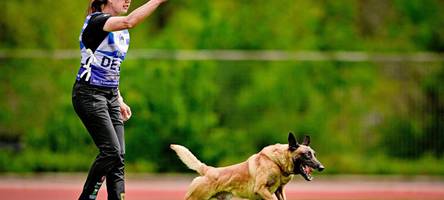 „ein lebenstraum“: daniela müller und ihr hund loci sind jetzt weltmeister