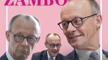 der merz-kosmos