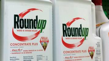 glyphosat: bayers wichtigster gerichtstermin steht an