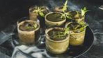 melonen-mojito : smoothie mit schuss