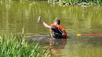 berliner polizei jagt alligator in weißensee