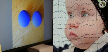 Neurowissenschaft: Einblicke ins Baby-Hirn am Max-Planck-Institut