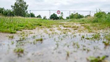 Alligator-Suche in Vechta geht weiter