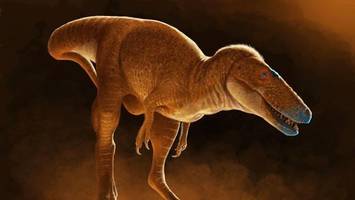 „drachenprinz“: forscher identifizieren vorfahren des t-rex