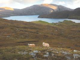 schottland: wo kommt das mysteriöse brummen her?