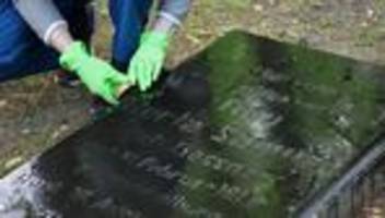 judentum: putzaktion in rostocker park zur pflege jüdischen erbes