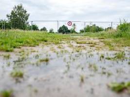 Mann foppt Behörden: Alligator-Sichtung in Vechta - doch es war gar kein echter