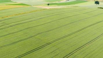 landvolk erwartet durchschnittliche getreideernte