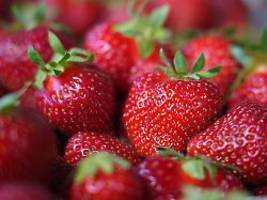 Schadstoffprüfung von Warentest: Bei Erdbeeren macht Bio das Rennen