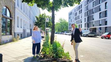 eine million bäume in berlin: gesetzentwurf liegt vor