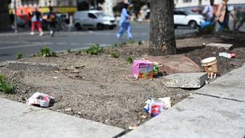 Rattenplage am Hermannplatz: „Guck dich doch mal um“