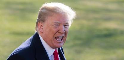 Donald Trump und seine Zölle: Die Wutpolitik des US-Präsidenten - Kolumne
