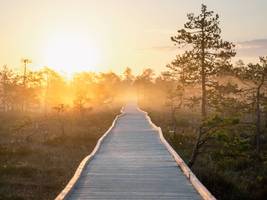 urlaub in estland: achtsam versumpfen