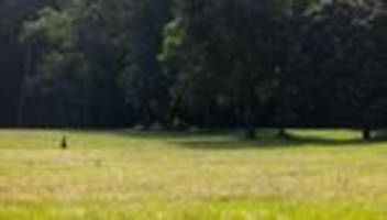wetter in nordrhein-westfalen: sonnenschein und mehr als 30 grad - ab sonntag dann regen