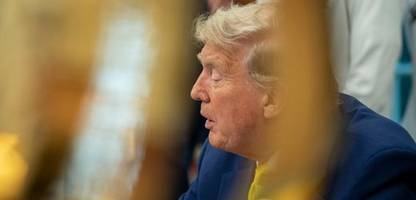 Nato – Donald Trump: Gipfel soll kürzer werden, um US-Präsident nicht zu langweilen