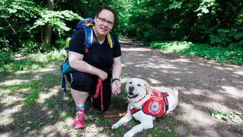 traumatisierte soldatin braucht dringend ihren assistenzhund