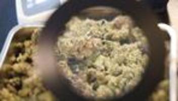 cannabis: acht cannabis-clubs in thüringen warten noch auf ihre lizenz