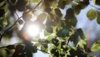 wetter: sommerliches wochenende in sachsen-anhalt erwartet