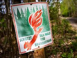 erhöhtes risiko am wochenende: waldbrandgefahr steigt: wie man sich richtig verhält
