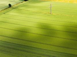 Umwelt und Natur: Unions-Landwirtschaftsministern ist der EU-Artenschutz zu teuer