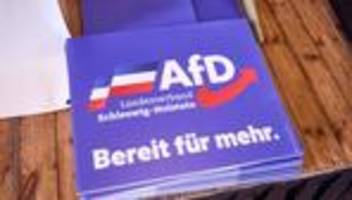 parteien: afd kommt bei landespartei zusammen - proteste erwartet