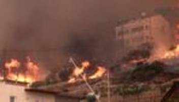 Trockenheit: Urlauber fliehen vor Waldbrand an Kroatiens Adria
