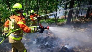 Hunderte Feuerwehrleute üben Waldbrandbekämpfung